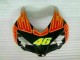 Honda CBR 1000RR 2004-2005 - Laranja Verde