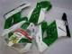 Honda CBR 1000RR 2004-2005 - Verde Branco