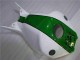 Honda CBR 1000RR 2004-2005 - Verde Branco