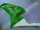 Honda CBR 1000RR 2006-2007 - Verde Honda CBR 1000RR 2006-2007 - Verde
