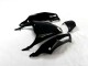 Kawasaki EX250 2008-2012 - Preto Verde Kawasaki EX250 2008-2012 - Preto Verde