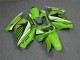 Kawasaki EX250 2008-2012 - Verde Branco Preto Ninja Kawasaki EX250 2008-2012 - Verde Branco Preto Ninja