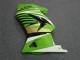 Kawasaki EX250 2008-2012 - Verde Branco Preto Ninja Kawasaki EX250 2008-2012 - Verde Branco Preto Ninja