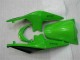 Kawasaki EX250 2008-2012 - Verde Preto Ninja Kawasaki EX250 2008-2012 - Verde Preto Ninja