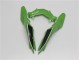 Kawasaki EX300 2013-2016 - Verde Preto Kawasaki EX300 2013-2016 - Verde Preto
