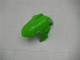 Kawasaki EX300 2013-2016 - Verde Preto Prata Kawasaki EX300 2013-2016 - Verde Preto Prata