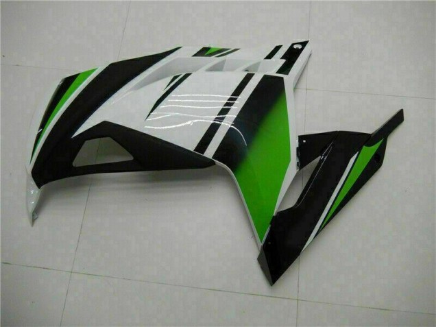 Kawasaki EX300 2013-2016 - Verde Preto Prata Kawasaki EX300 2013-2016 - Verde Preto Prata