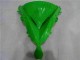 Kawasaki EX650 2006-2008 - Verde Preto