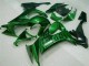 Kawasaki ZX10R 2008-2010 - Verde Chama Kawasaki ZX10R 2008-2010 - Verde Chama