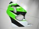 Kawasaki ZX6R 2000-2002 - Verde Branco Preto