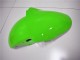 Kawasaki ZX6R 2000-2002 - Verde Branco Preto