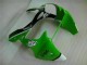 Kawasaki ZX6R 2000-2002 - Verde Preto Kawasaki ZX6R 2000-2002 - Verde Preto