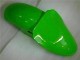Kawasaki ZX6R 2000-2002 - Verde Preto Kawasaki ZX6R 2000-2002 - Verde Preto