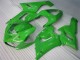 Kawasaki ZX6R 2005-2006 - Verde