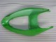 Kawasaki ZX6R 2005-2006 - Verde