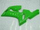 Kawasaki ZX6R 2005-2006 - Verde Kawasaki ZX6R 2005-2006 - Verde