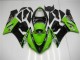 Kawasaki ZX6R 2005-2006 - Verde Kawasaki ZX6R 2005-2006 - Verde