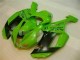 Kawasaki ZX6R 2007-2008 - Verde Preto Dunlop