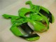 Kawasaki ZX6R 2007-2008 - Verde Preto Dunlop