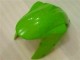 Kawasaki ZX6R 2007-2008 - Verde Preto Dunlop