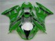 Kawasaki ZX6R 2009-2012 - Verde Preto LeoVince