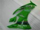 Kawasaki ZX6R 2009-2012 - Verde Preto LeoVince