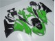 Kawasaki ZX6R 2009-2012 - Verde Preto