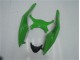 Kawasaki ZX6R 2009-2012 - Verde Preto