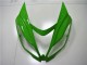 Kawasaki ZX6R 2013-2018 - Verde Branco Preto