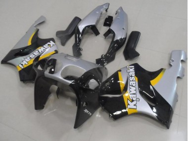 Kawasaki ZX9R 2000-2001 - Prata & Preto