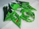 Suzuki GSXR 1000 K5 2005-2006 - Verde