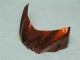 Suzuki GSXR 1000 K9 2009-2016 - Castanho Preto Suzuki GSXR 1000 K9 2009-2016 - Castanho Preto