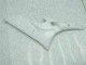 Yamaha R6 2006-2007 - Sem Pintura